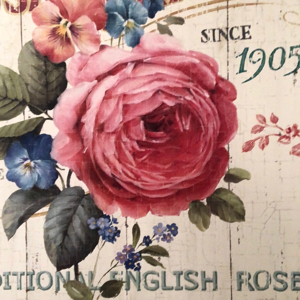 Meet your Posher, Sue